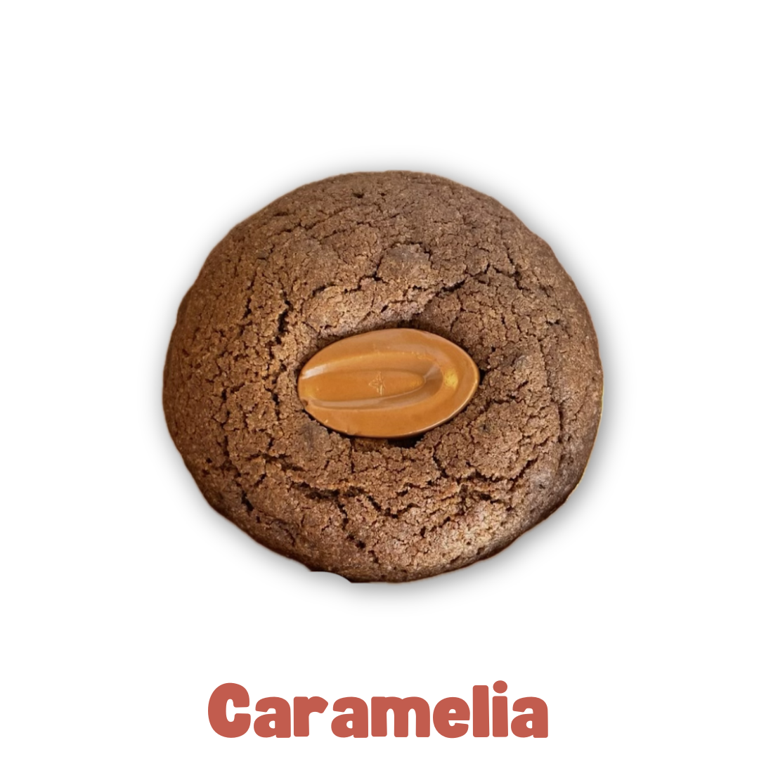 Coffret de 4 cookies