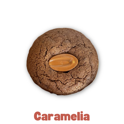 Coffret de 4 cookies